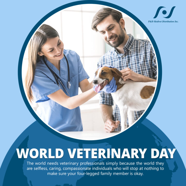 World Veterinary Day P & D Medivet Distribution